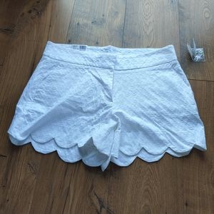 Crown & Ivy Shorts Size 8 NWT